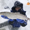 日本三大怪魚　イトウを釣った　アイスフィッシング【北海道　冬の朱鞠内湖編】