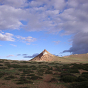 前略。スターリン（旧ソ猫を噛む）