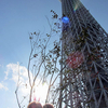 続・久し振りの再会 in Sky Tree Town