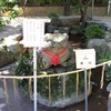 国道176号の開通時期は？