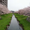 出雲市駅周辺と一の谷公園の桜