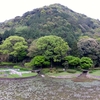 うしぶか公園の池（熊本県天草下島）