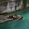 海外地理検定の話