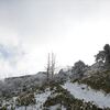 雪の剣山「また歩こうね」