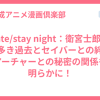Fate/stay night：衛宮士郎の謎多き過去とセイバーとの絆！アーチャーとの秘密の関係も明らかに！