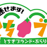 女性アイドル総合アンテナ