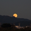 2019年11月12日　一色海岸へ