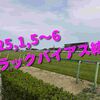 2025,1,5～6 トラックバイアス結果 (中山競馬場　中京競馬場)