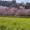 西川花公園