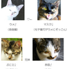 牧場猫関係図