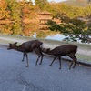 秋の奈良散策　ー浮御堂から飛火野、そして興福寺ー