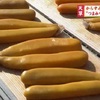 高級珍味「からすみ」づくり最盛期 天草