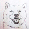 らくがき描いてみた　初代お父さん犬