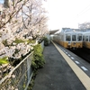 再び琴電岡本駅で桜の季節を感じさせる撮影