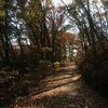 初冬の湯村山遊歩道