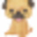 パグ犬　タローが教えてくれたこと