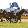 日曜競馬　展望