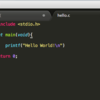 sublimetextでcを書く（情報科学基礎実験を乗り越えるために）
