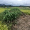 海老ヶ久保34, 36, 37号墳  神川町池田