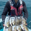 6/8釣果