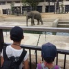 久しぶりの動物園