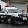 岩手県警察 花巻空港警備派出所のパンダ