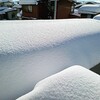 大雪と疲弊と春は近し・・・