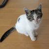 マオとの偶然の出会いを振り返る