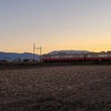 明日の近江鉄道 （11/30の運用予想）