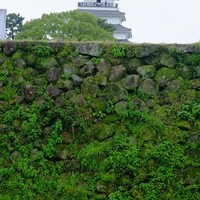 島原城　見逃した鏡石