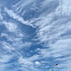 【エッセイ】夏を抱きしめて