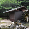 水車小屋と花ショウブの花びら