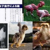 遺伝子組み換え動物を 正しく怖がる為に 《 A seed さんより 》