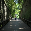 【587話・Leica】Summilux 50mm F1.4 ASPH. (11891)で捕る「横須賀・猿島」