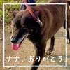 2022年7月18日🐾 今日のマヤ暦