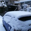 またまた積雪