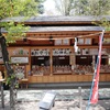 4月！！桜も散る長野〜日帰りで上田城を回る旅〜