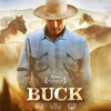 ホース・ウィスパラーのドキュメンタリー「ＢＵＣＫ」について