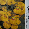 1月30日誕生日の花と花言葉歌句