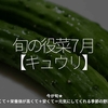 2442食目「旬の役菜 7月【キュウリ】」今が旬★　美味しくて＋栄養価が高くて＋安くて＝元気にしてくれる季節の野菜を紹介