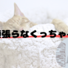 サボった弊害なのか…何を書けばいいんだっけ…？
