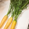 カラー人参の葉の『かきあげ』