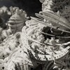  Path Tracing 3D Fractals