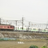 第2537列車　「　甲119 JR北海道 H100形(H100-92～95)の甲種輸送を狙う　」