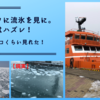 【北海道旅行】オホーツクに流氷を見に。今年はハズレ！　でも２００コくらい見れた！　