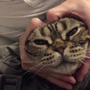 trickcatのブログ