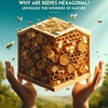 なぜハチの巣は六角形なの？自然の不思議を解明しよう！