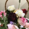 薔薇に癒され