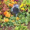 わたしのX遍歴