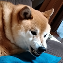 発達障害おっさんのブログ